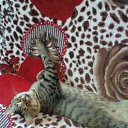 ���� ������ �������, ��������, 47 ��� - ��������� 22 �������� 2014 � ������ ���� ������