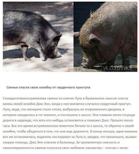   ,  - 5