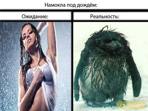 Порадовало - Фотография 12 из 14 ВКонтакте