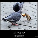 ���� ���������, ���� - ��������� 6 ������� 2014 � ������ ������ ��������