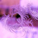  ***,  -  15  2014    