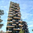      Bosco Verticale.       ,        ,       .       800   4 000 .    