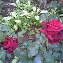 ���� �������, ������, 64 ���� - ��������� 31 ������� 2014 � ������ ���� ����������