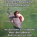 ���� �����, �����, 61 ��� - ��������� 2 �������� 2014 � ������ ������ ��������