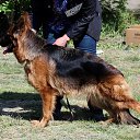      - 31.05.2014     - 2014