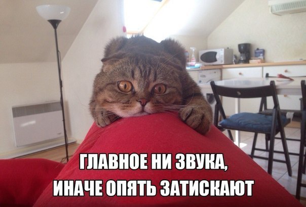       - 3  2014  15:11