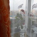 �������� �� ����, �������� ������. �� ������� ���� ����������