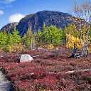  , , 36  -  6  2014   Canada, Quebec
