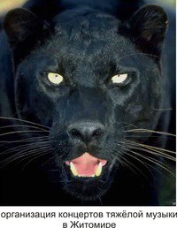 �������, ����