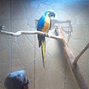 ���� Valentin, �������, 46 ��� - ��������� 28 ������� 2014 � ������ �1�