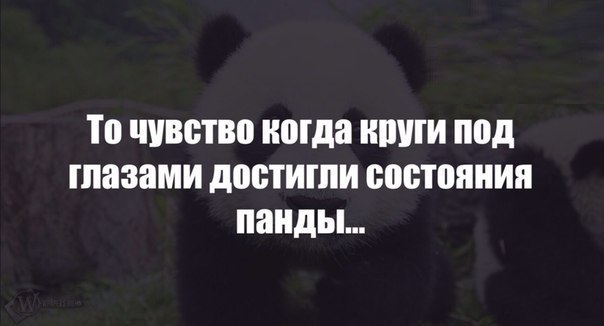  - 17  2014  21:52