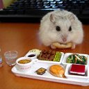 ���� ���, ������ - ��������� 24 ������� 2014 � ������ ��������