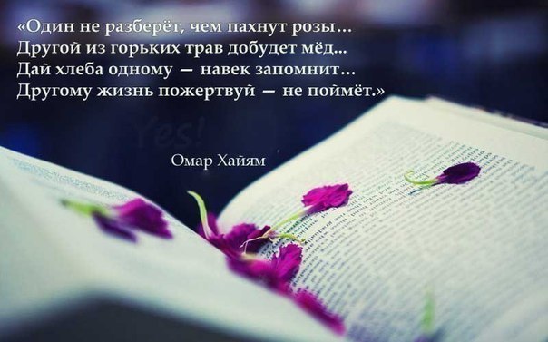 ...����� ���� ���� ������