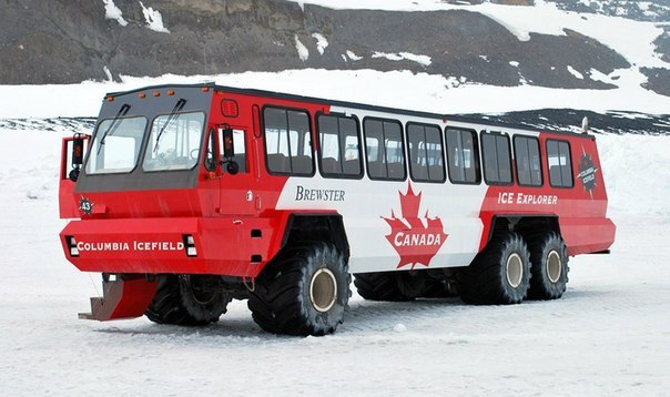  Foremost Terra Bus - 2