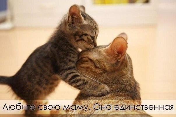   :D - 16  2014  16:45