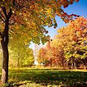 ���� �����, ���� - ��������� 4 ������ 2014 � ������ �������
