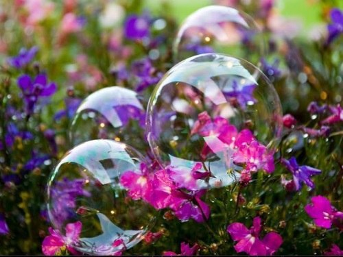 Мыльные пузыри — это состав из мыла, улыбок, радости, детского смеха и чувства, что ты счастлив. - 5