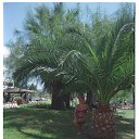 ���� ���, ������, 30 ��� - ��������� 27 �������� 2014 � ������ ������ ��������