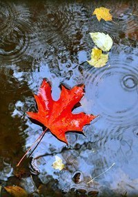 ...чтобы эта осень изменила все к лучшему - 3