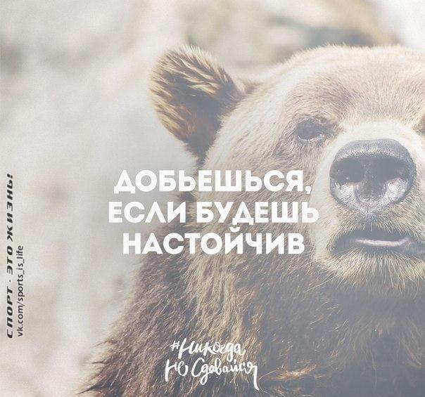  -   - 1  2014  11:06