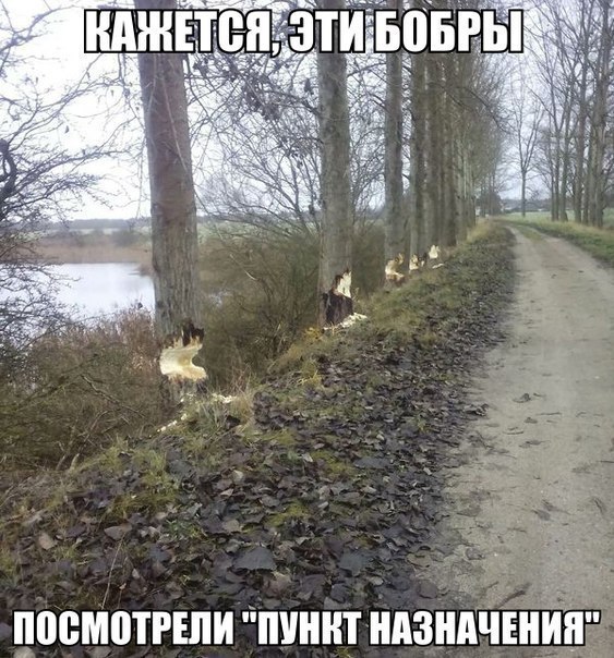  - 30  2014  13:45