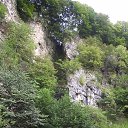 ���� ���, ���������, 44 ���� - ��������� 11 ������ 2014 � ������ �������������