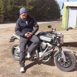 Bear, , 44 