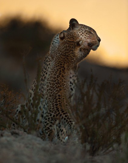 ������ ������� ������� ��������.��������� �������� � ������� �������� � ����� ������, ���� ����� ... - 5