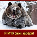 ���� ������, ������, 48 ��� - ��������� 15 ������ 2014 � ������ ���� ����������