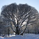  , , 60  -  28  2014     (    )