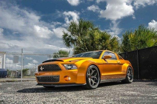 Shelby GT500 Super Snake  Ultimate Auto - 2