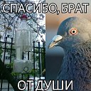���� ����, �����������, 42 ���� - ��������� 1 ������� 2014 � ������ ������ ��������