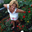  , , 55  -  20  2014   .....