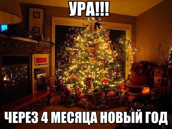    :D - 2  2014  07:40