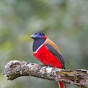 ���� ==Elena==, ������� - ��������� 27 ������� 2014 � ������ ���� ����������