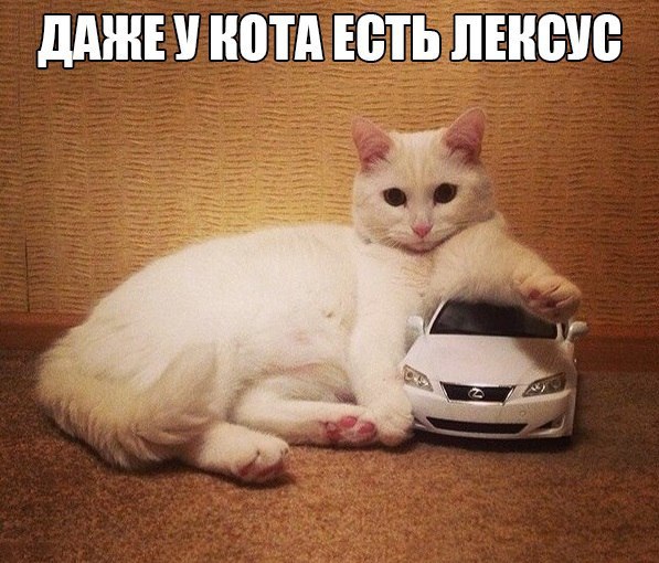  -  - 8  2014  20:22
