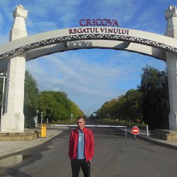 �����, ������, 40 ���