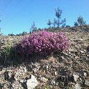 Portygaliia �� ������� ���� ����������