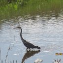 ������� �� ���� �� ������� ���� �����