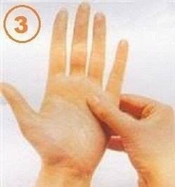      .   ,       ... - 3