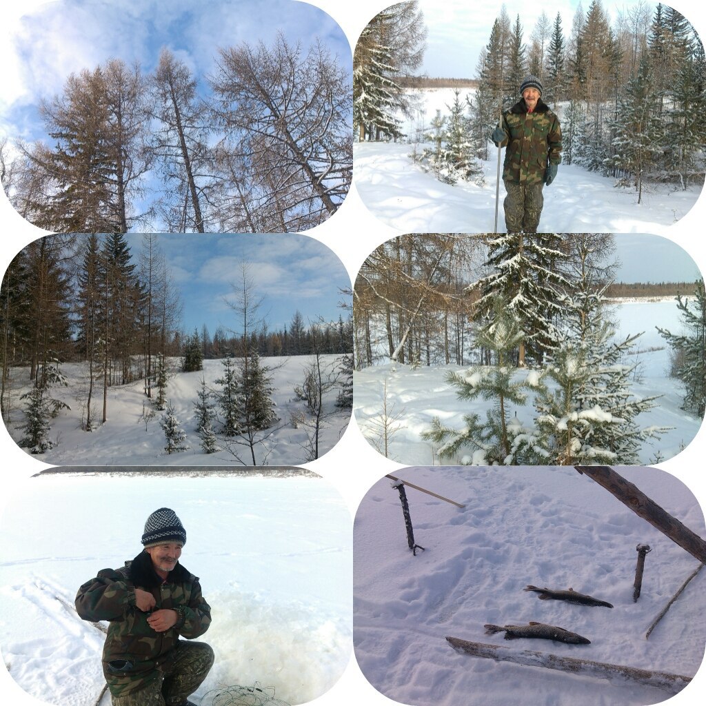  , ,  . # # # # #beauty #snowfall ...