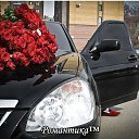 ���� �����, ������ - ��������� 23 ������ 2014 � ������ ������ ��������