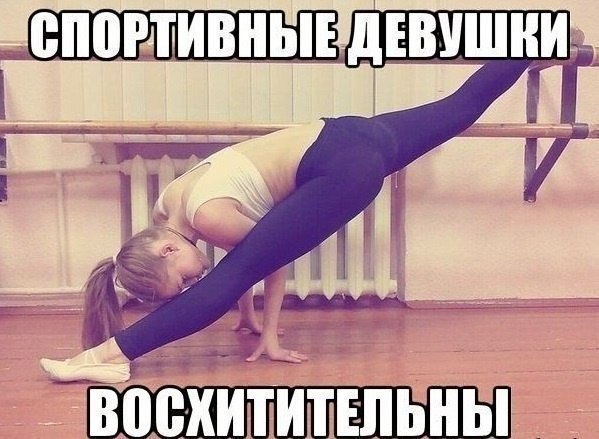 ,    -  ,     ,     ...