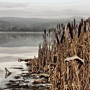 ���� ��������, ��������, 45 ��� - ��������� 27 ������ 2014 � ������ ������ ����