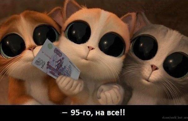    - 11  2014  01:27