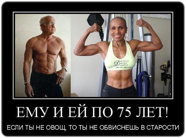 SportFeed - 15  2014  14:16