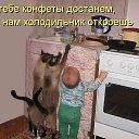 ���� �����, �������� - ��������� 15 ������ 2014 � ������ ������ ��������