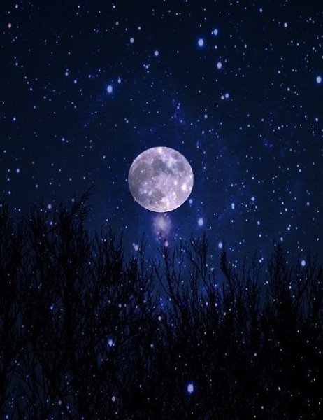  :     ,  , ?        ...