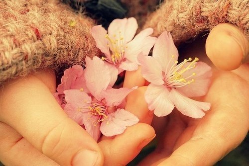 Если есть в нашем мире, странном.То, чего не коснулось зло ...Это то, что не взять ...