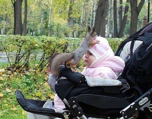 Скажи мамке,пусть шапку меньшего размера купит-пятый раз подтягиваю...